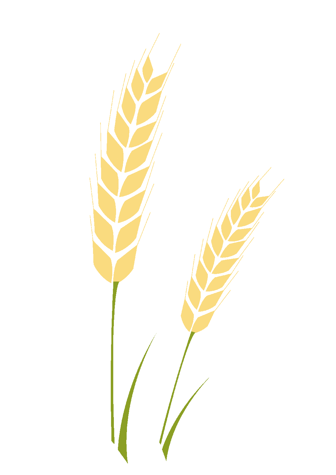 ½