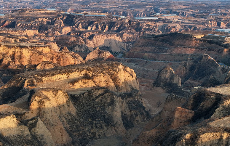 һʱ��������ѧ��У԰����ָ����ҧ��